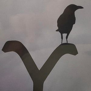 Meet your Posher, Joy